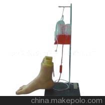 【下肢足部模型-下肢足部静脉注射仿真模型-下肢模型】价格,厂家,图片,医药教学器材,长沙艾创医疗设备有限责任公司-